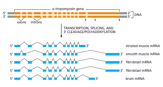 Figure 6-26.png